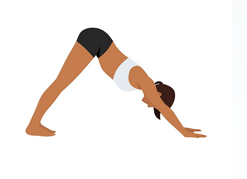 Adho-Mukha-Svanasana (2).png