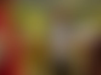 The Art of Wine Selection: Tips from Our Sommelier