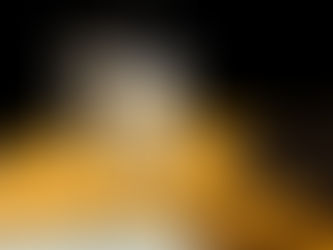 Sommelier's Choice: Italian Wines for Every Occasion