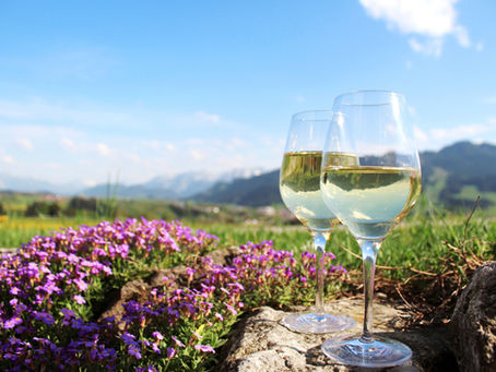 Sommelier's Picks: Italian Wines for Each Season