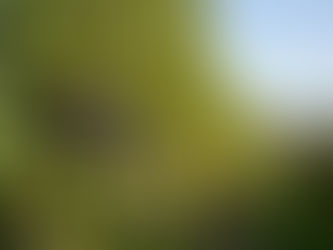 A Taste of Tuscany: Exploring Italian Wine Regions