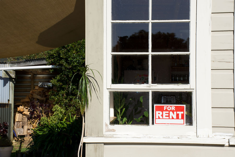 White house window with a "For Rent" sign. Green plants inside; woodpile and leafy bushes outside. Bright and sunny day.