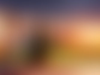 Discovering Italy: A Journey Through the World of Italian Wines