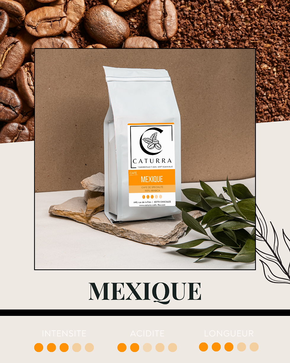 MEXIQUE | Monte Azul