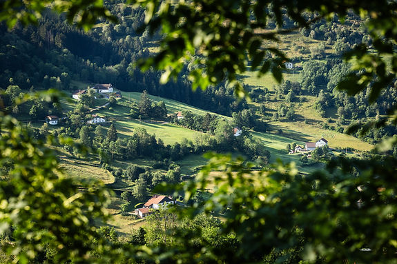 Ultra-Raid-Vosges-Preview-2024_074.jpg