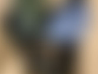 2024年4月23日 静岡県西伊豆町K様より2箱をご寄付頂きました。【ご紹介】