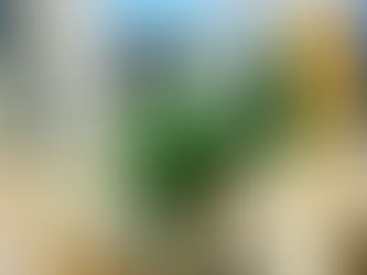 Wochenend-Geburtsvorbereitung im Haus der Familie