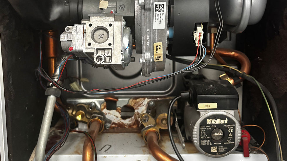 Internal components of a boiler maintained by rphc