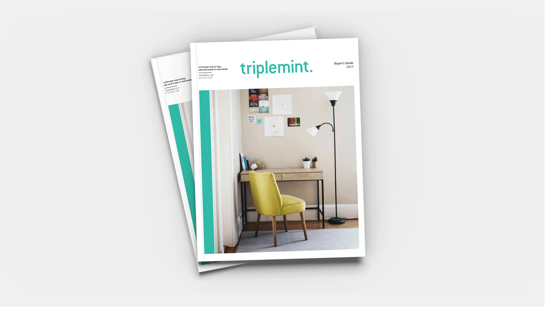 TMZINE.gif