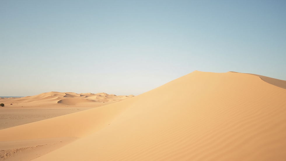 Wide angle view of the expansive sand dunes at Little Sahara State Park