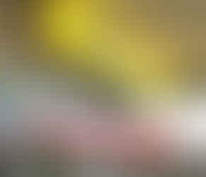 Banco Central dá aval para parceria entre Banco do Brasil e Bradesco