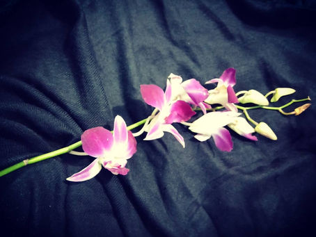 एक शाम बस यूँ ही सी.....