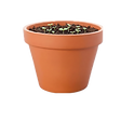Maceta con plantitas.png