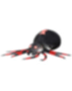 Red Spider