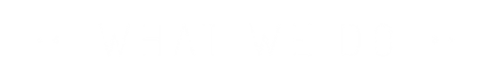 What We Do.png
