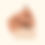 Miniature : HA0087 - Press on nails