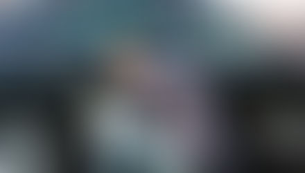 Negative Effects Of The Automobile Sector