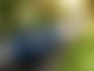 Subaru Is Going Beyond With Service