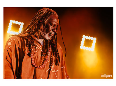 tiken jah fakoly par toni mywave