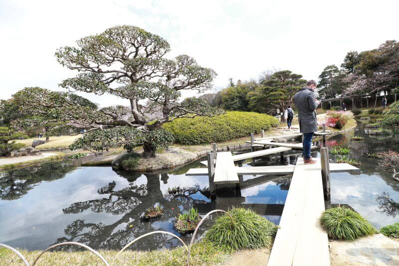 Bridge crossing a koi pond in Korakuen Garden in Japan's Okayama