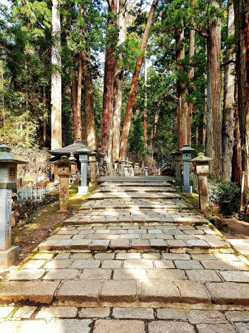 A pathway leads through the Okuno-in cemetery in Koyasan