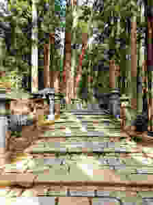 A pathway leads through the Okuno-in cemetery in Koyasan