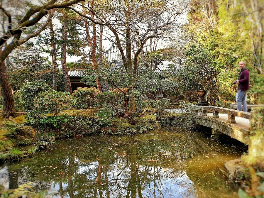 Koi pond at the centre of the garden at Honen-in temple in Kyoto.