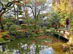 Koi pond at the centre of the garden at Honen-in temple in Kyoto.