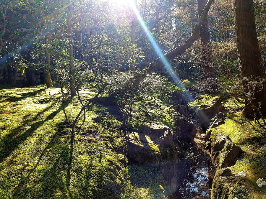 Moss gardens at Kyoto's Ginkaku-ji temple in Japan