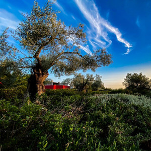 The beautiful surroundings at Fazenda Nova Country House - review
