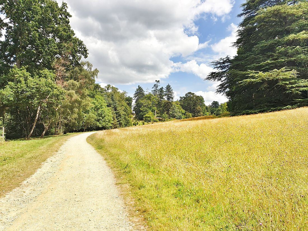 Grasslands and forest paths at Wakehurst botanical gardens in West Sussex