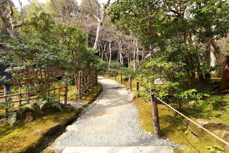 Lovely example of a moss garden - we review the Gio-ji temple in Kyoto