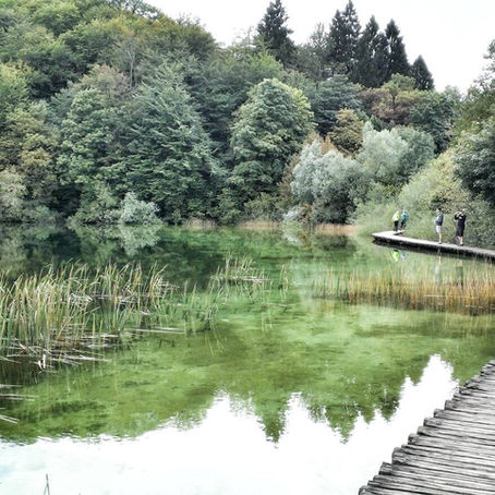 Crystalline lakes and endless waterfalls at Plitvice National Park