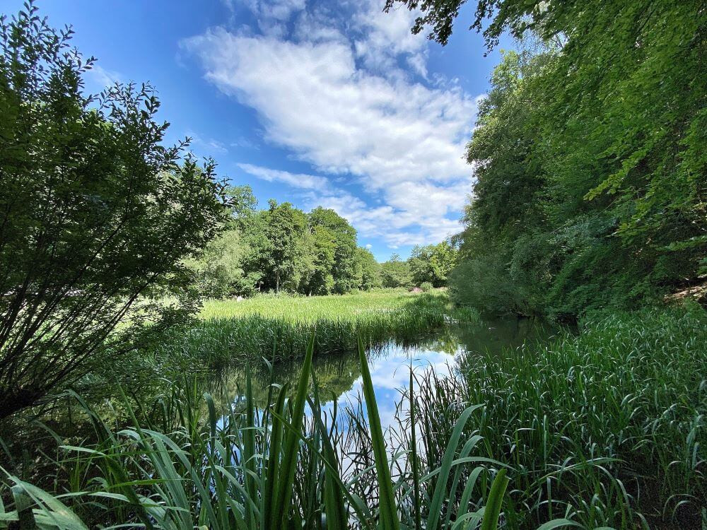 The Wetlands were our favourite part of Wakehurst's magnificent grounds.