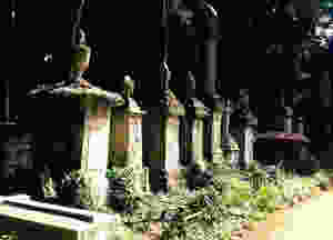 Gravestones at Highgate Cemetery in London