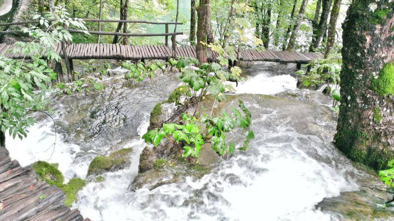Streams rushing beneath the boardwalks at Croatia's Plitvice Lakes
