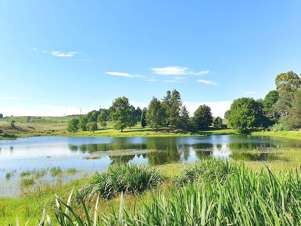 Gorgeous views all round at Fordoun hotel & Spa