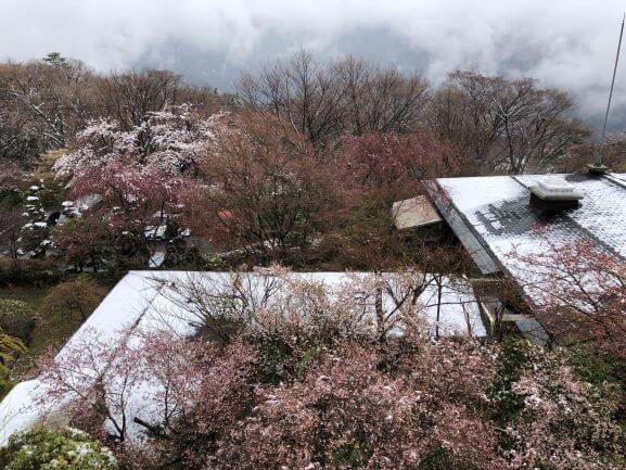 View from the balcony at Gora Hanaougi