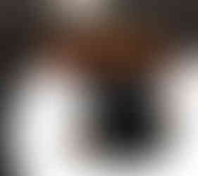 Langoustine at The Man Behind The Curtain Leeds