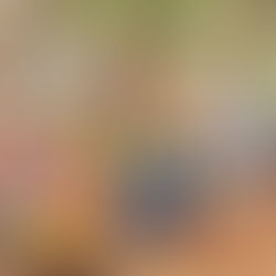 Train wreck trail near Whistler