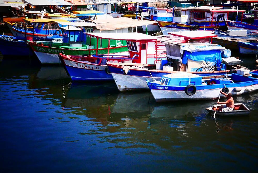 Colourful boats in the harbour near Urca in Rio