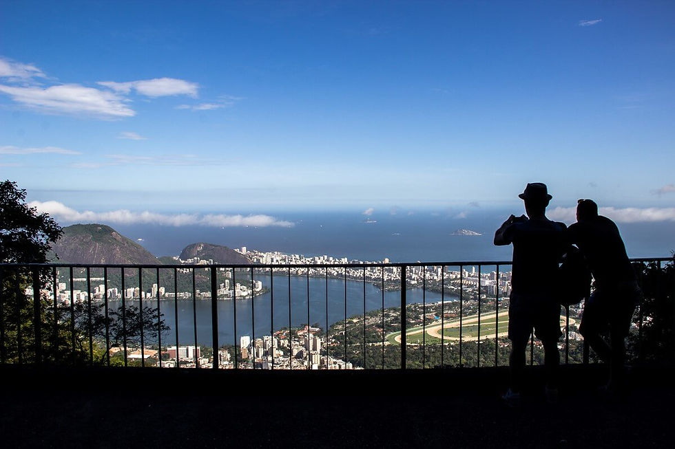 Views of Rio from a lookout point in the Tijuca National Park
