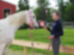 Intro Ground Clinic at Waredaca