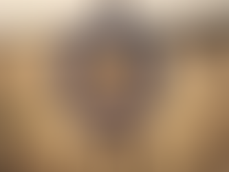 Master Horseback Archery Techniques For Beginners in DC