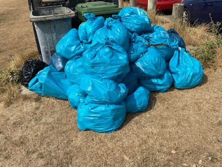 Ferring Conservation Group litter pick