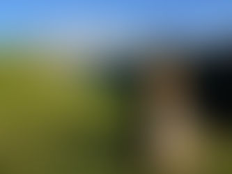 Obsèques de Jean Marcouly