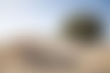 Nos actions de Carême 2026