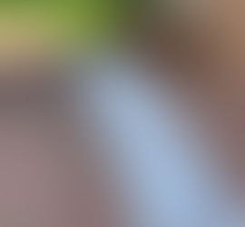 Enhance Your Curb Appeal with Professional Lawn Maintenance