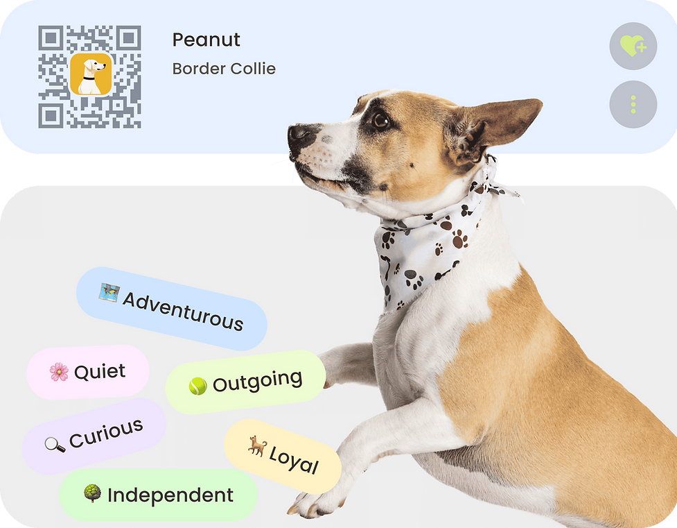 Group 1597880429 (1).png