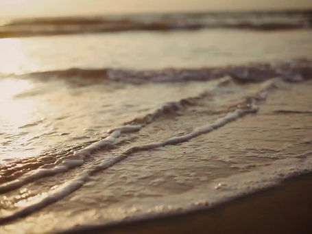 Qué bueno volver a vernos